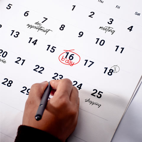 Mono 2025 Wall Calendar with Metal Bracket